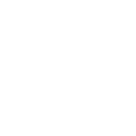 Google Icon